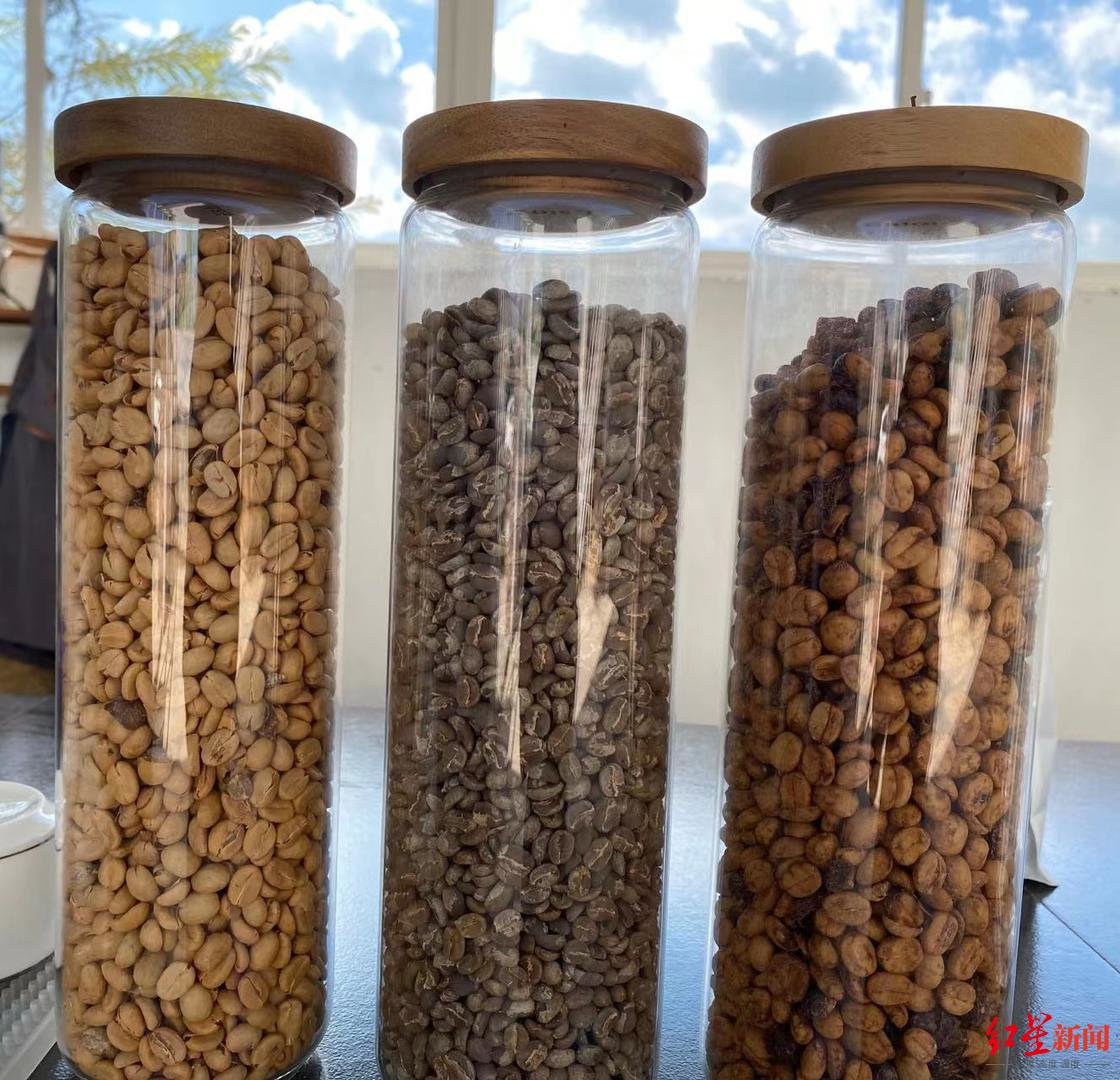 云南“香精豆”疑云：大多为供给星巴克等大牌厂商的商品豆，“风味豆”不是主流
