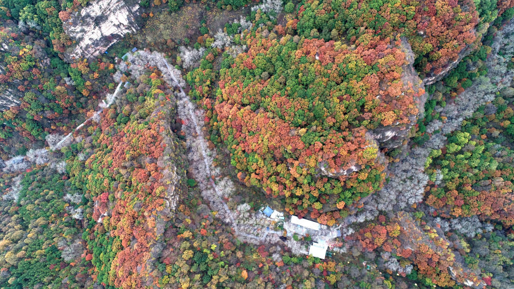 这是10月5日在河北省石家庄市平山县拍摄的驼梁自然风景区秋景（无人机照片）。新华社发（梁子栋 摄）