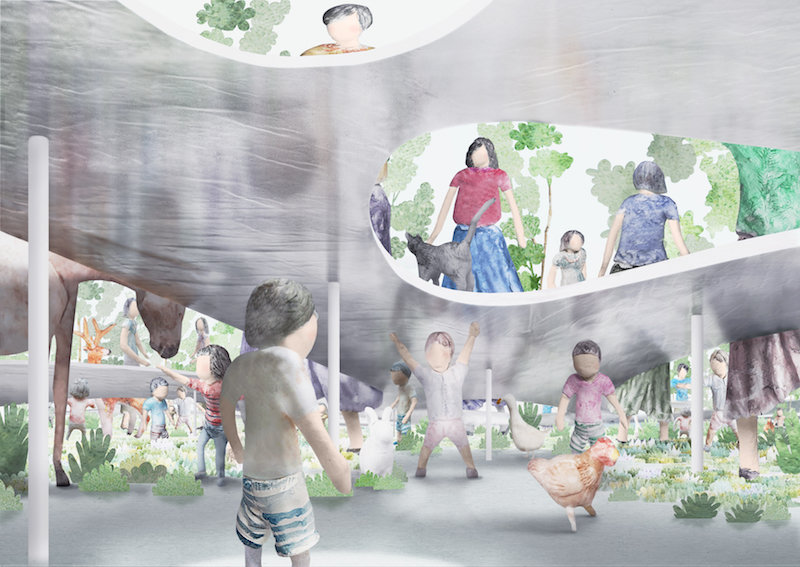 石上纯也设计的森林幼儿园