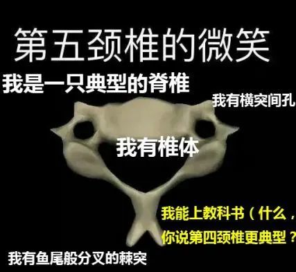 怪不得医学生比别人多上一年学你们都忙着做表情包了