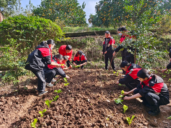 新学期开始啦培养好习惯开展延时课推动劳动教育重庆各学校花式巩固双