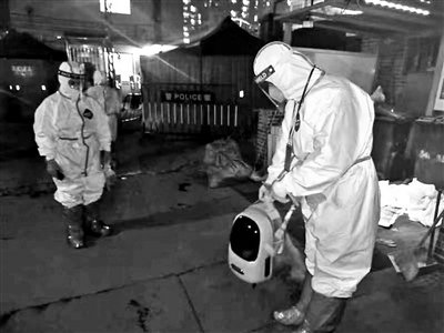 工作人员在转运宠物