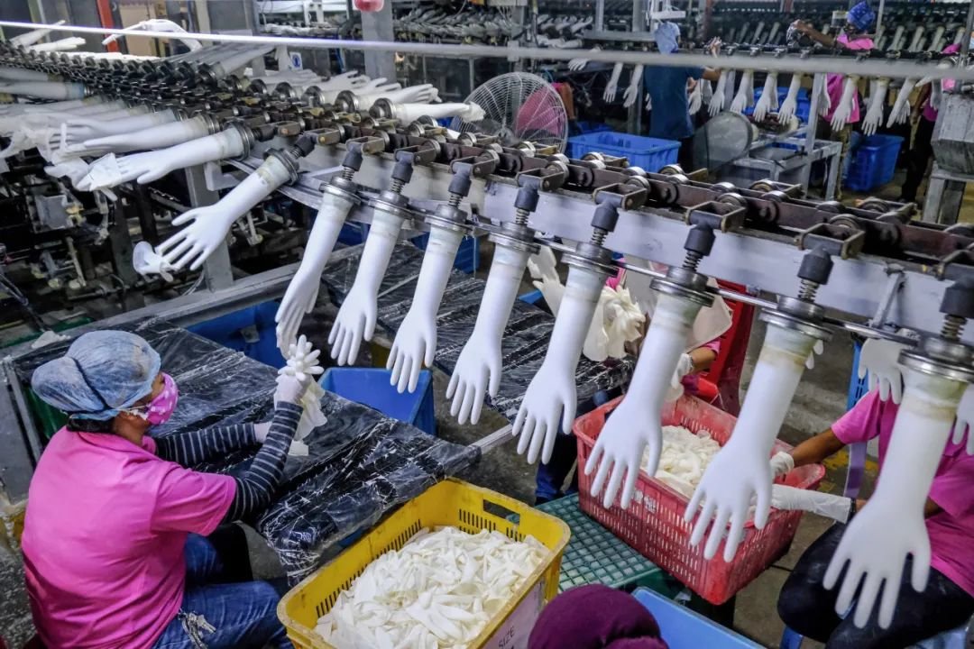 ◎ 马来西亚的手套加工工厂中有大量的外来劳工，其中很多是无证劳工，绝大多数是女性。在疫情期间，美国等国家拒绝马来西亚的手套，认为其建立在对人权的蔑视上。图片来源：Bloomberg