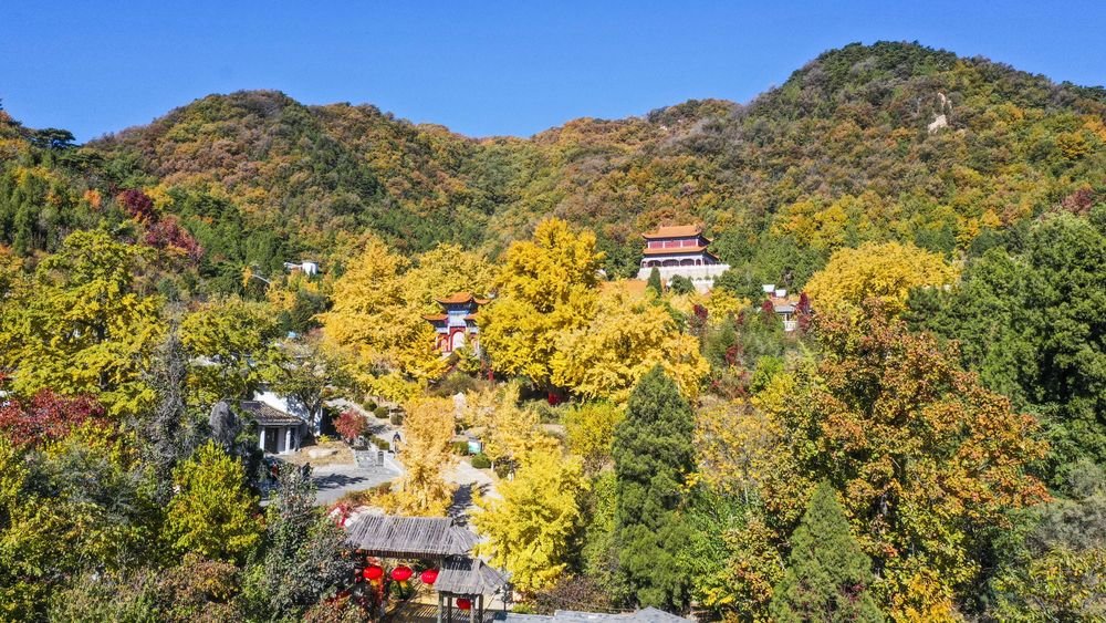 这是10月23日在河北省遵化市侯家寨乡禅林寺古银杏树风景区拍摄的秋景（无人机照片）。新华社发（刘满仓 摄）