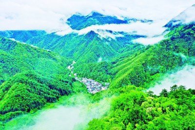 群山环抱,云雾缭绕的武夷山国家公园腹地桐木村景观 新华社发在山东