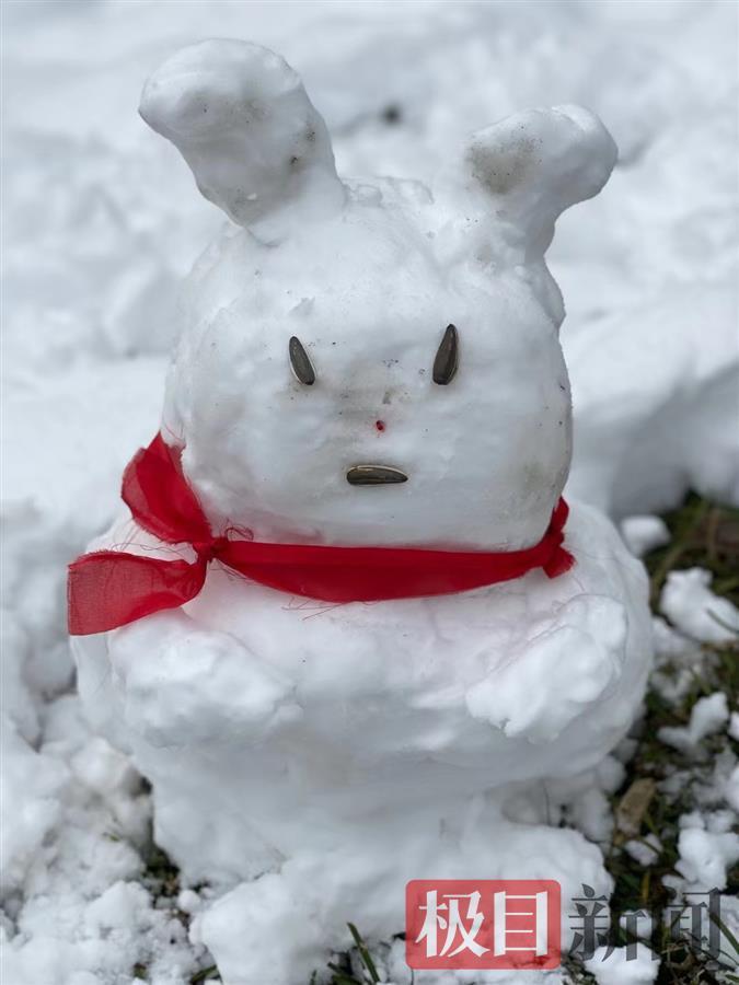 武汉朋友圈堆雪人大赛全面开启冰墩墩虎虎生威们都来了就差你的了