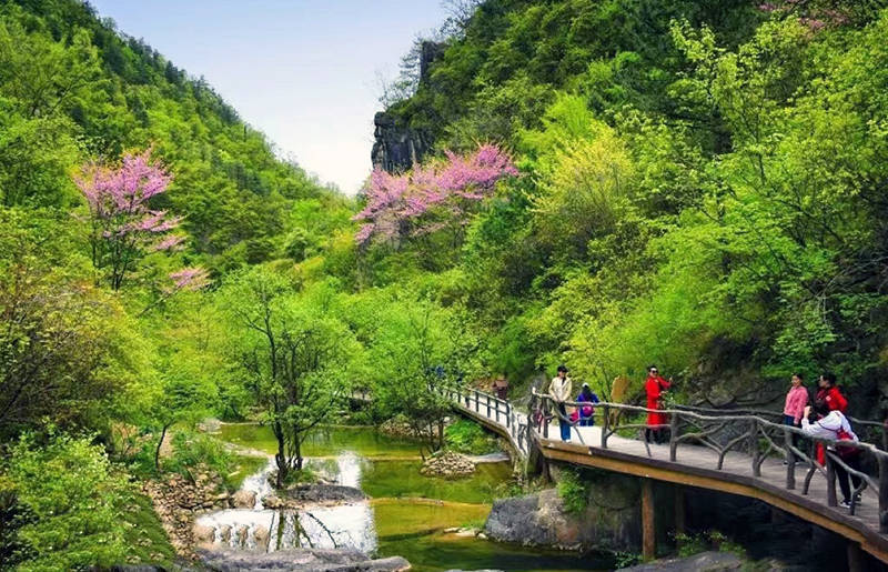 随着春的脚步,秦岭江山景区春意渐浓.