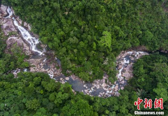 海南热带雨林国家公园位于海南岛中南部,跨五指山,琼中,白沙,昌江