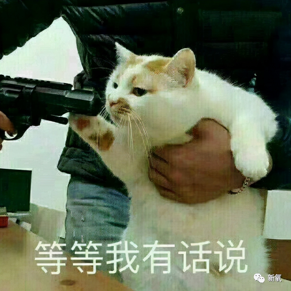 用魔法打败魔法做美容用冥币付钱