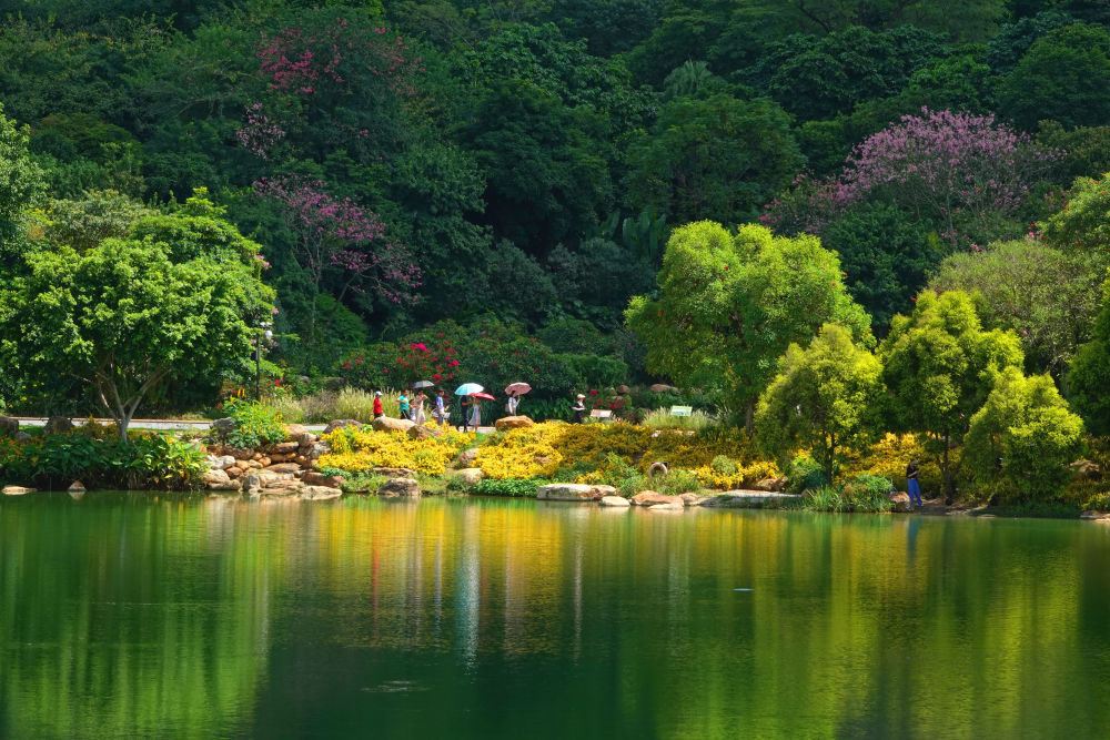 10月4日，市民在广西南宁市青秀山公园的青山绿水间游玩。新华社发（喻湘泉 摄）