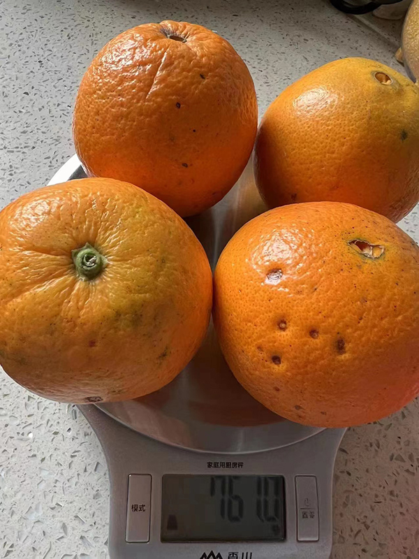 橙子显示761g,而非套餐中介绍的1kg