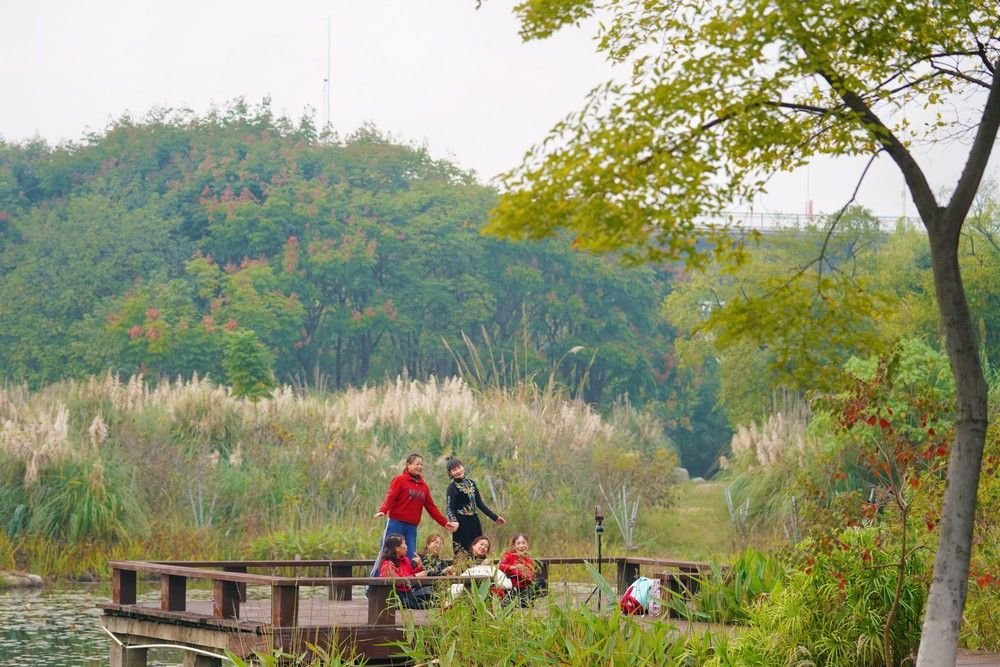 东湖评论:中国履约30年,湿地保护硕果惠及全球