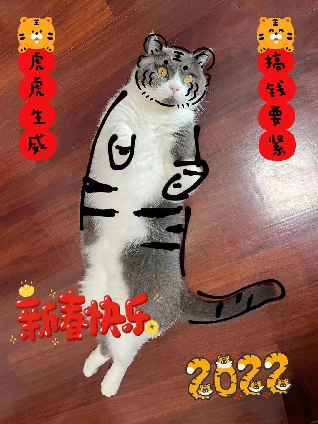 过完照猫画虎的新年重思人类与伴侣动物共生的城市生活
