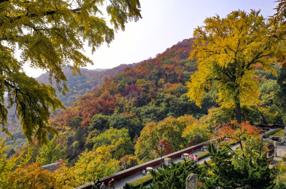 这是10月25日在天津市蓟州区盘山风景名胜区拍摄的秋景。新华社发（王金一 摄）