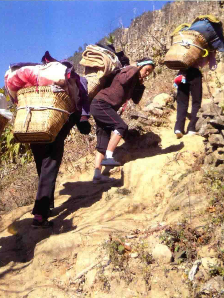 采访 旁立编辑 刘敏2010年,青年学者陈业强第一次到云南怒江州福贡县