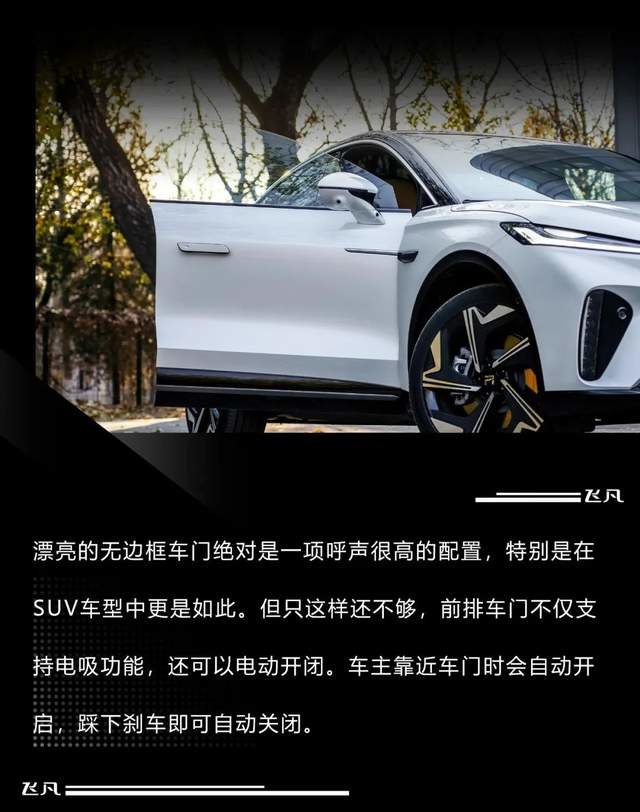 中大型轿跑suv无框电吸门三联屏仅需modely的价格太卷了