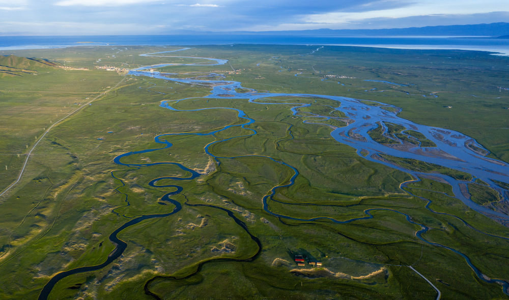 ↑这是青海湖布哈河湿地一景（2020年7月19日摄）。