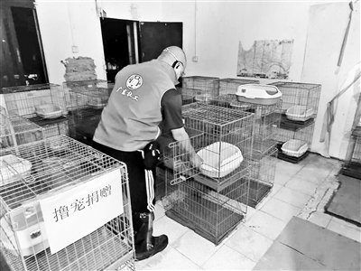 工作人员把物资运送至宠物方舱