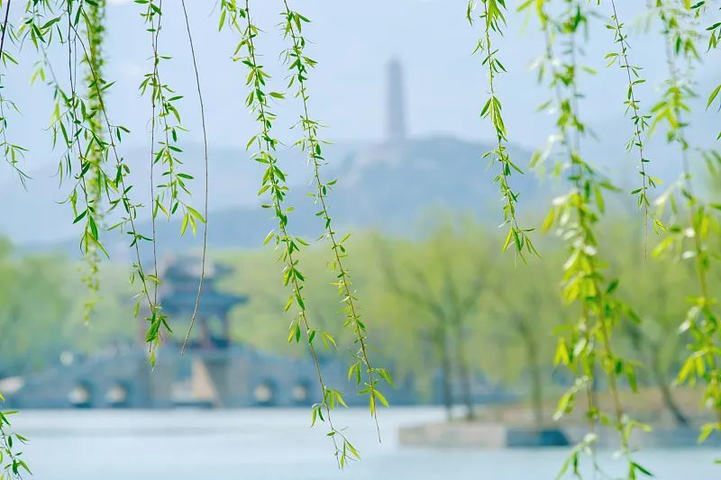 小卖部,"金元宝",黄纸,"金砖"等纸质祭品开始销售,还有各种面值的冥币