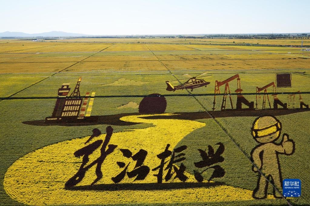 这是黑龙江省富锦市万亩水稻科技示范园里的稻田画(2022年9月2日摄.