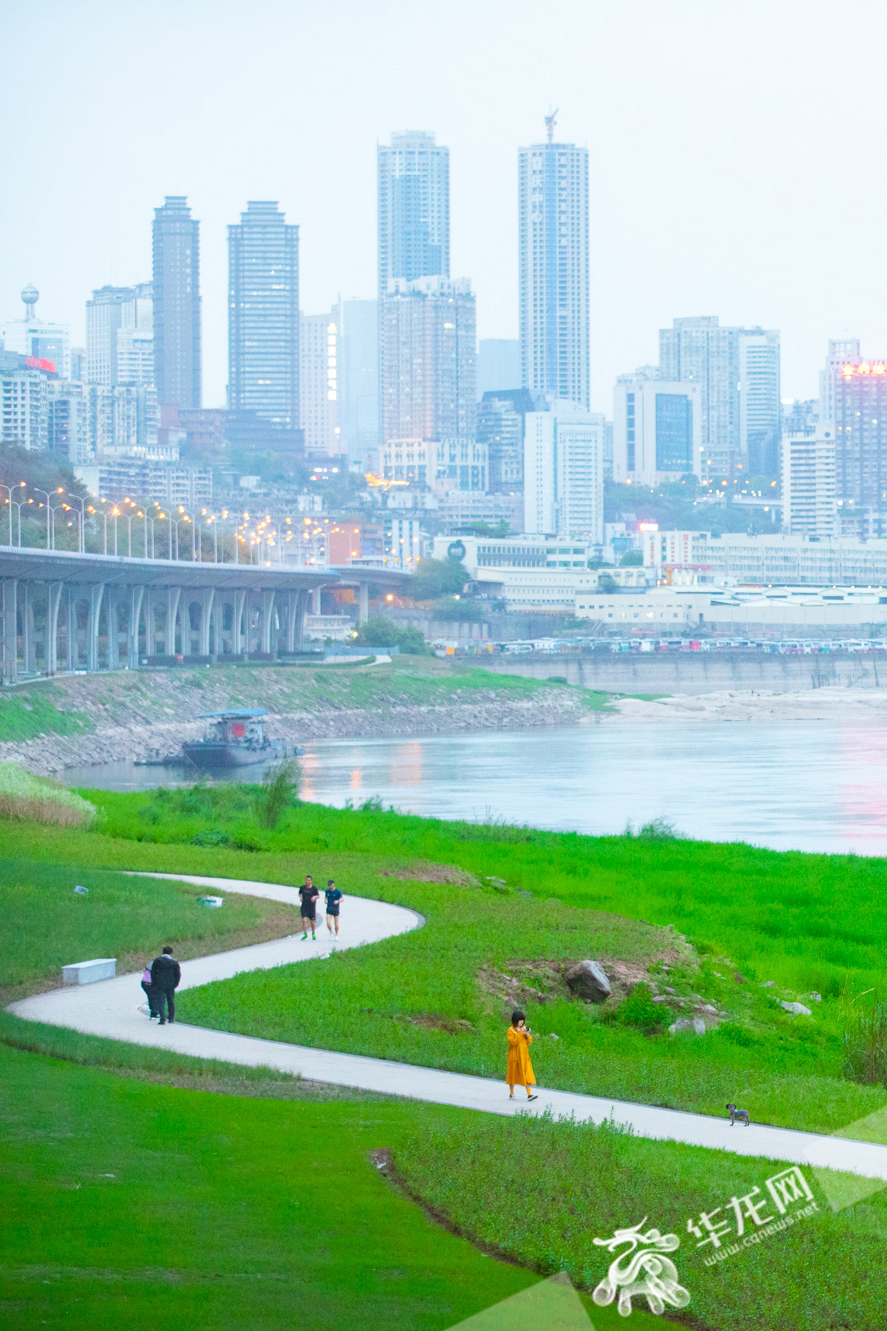 04:九滨路江边,两江四岸改造中新建的绿地和自然的野草地融为一体.