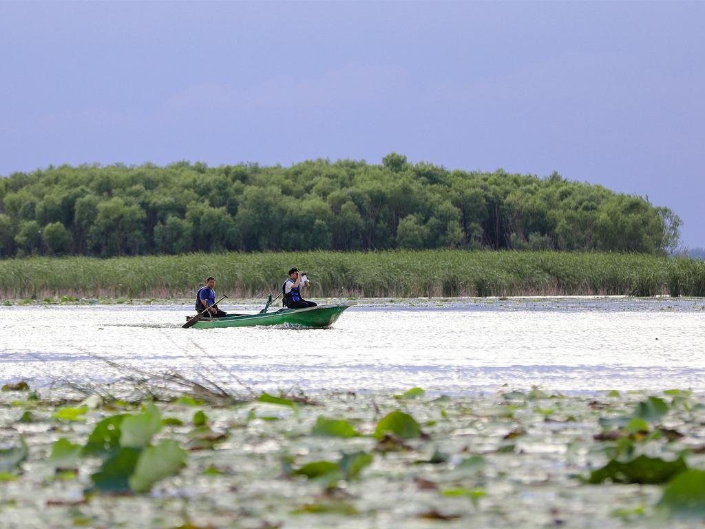 李国忠在衡水湖驾船巡湖。（受访者供图）