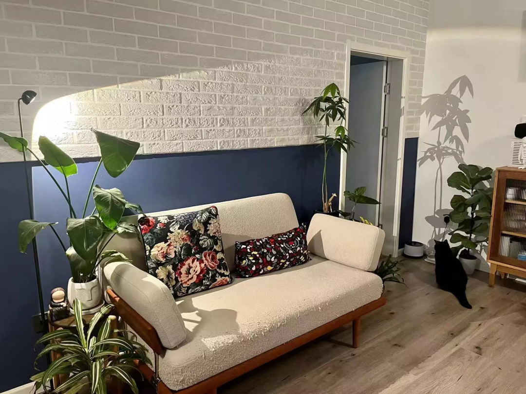 宅家的浪漫:灯光映树影 | 图源:受访者供图