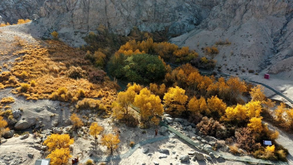 这是10月30日在甘肃省敦煌市悬泉置遗址悬泉谷内拍摄的秋景（无人机照片）。新华社发（张晓亮 摄）