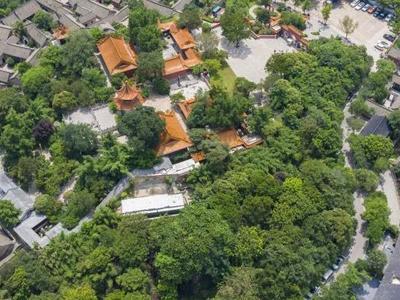 院和药店监管存在疏漏,比如,少数医疗卫生机构b超检查存在担任上岗