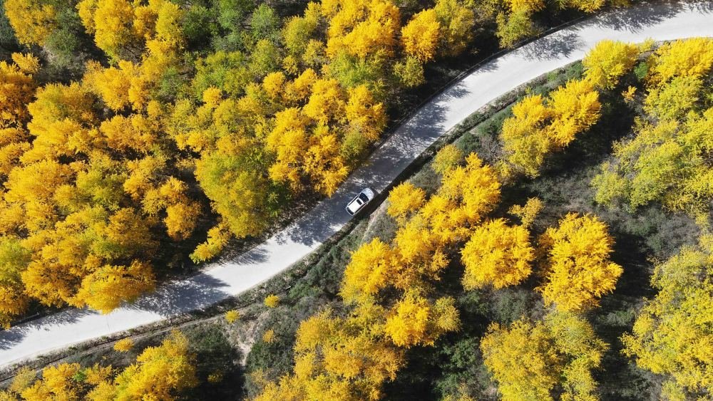 这是9月29日在甘肃省定西市安定区团结镇拍摄的秋景（无人机照片）。新华社发（王克贤 摄）