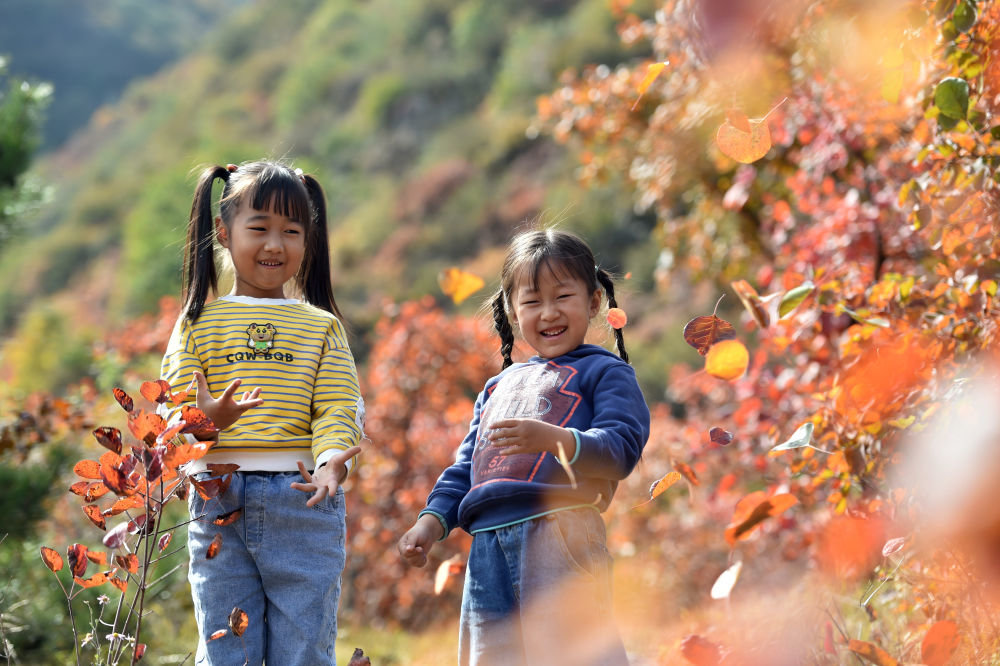 10月15日，在河北省石家庄市井陉县仙台山，小朋友在红叶间玩耍。新华社发（张晓峰 摄）