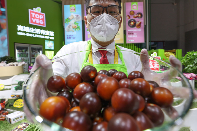 进博会上展出的欧洲紫番茄。张海峰 摄