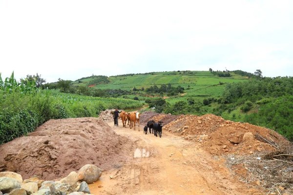 博南古道现在仍是当地民众出行的道路。（彭慧颖 摄）