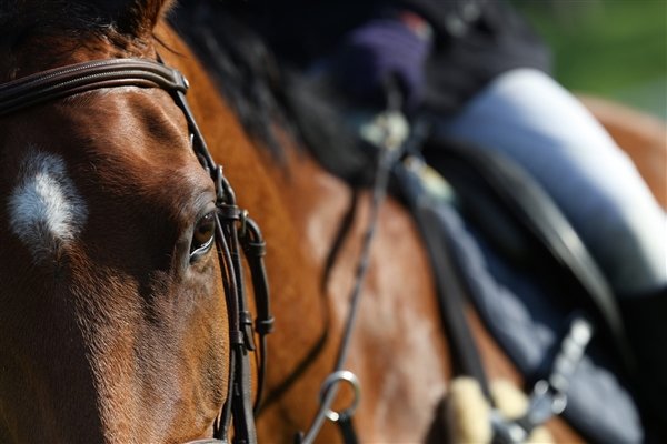 16499元!佳能全画幅微单EOS R6 Mark II发布:分辨力媲美5D4