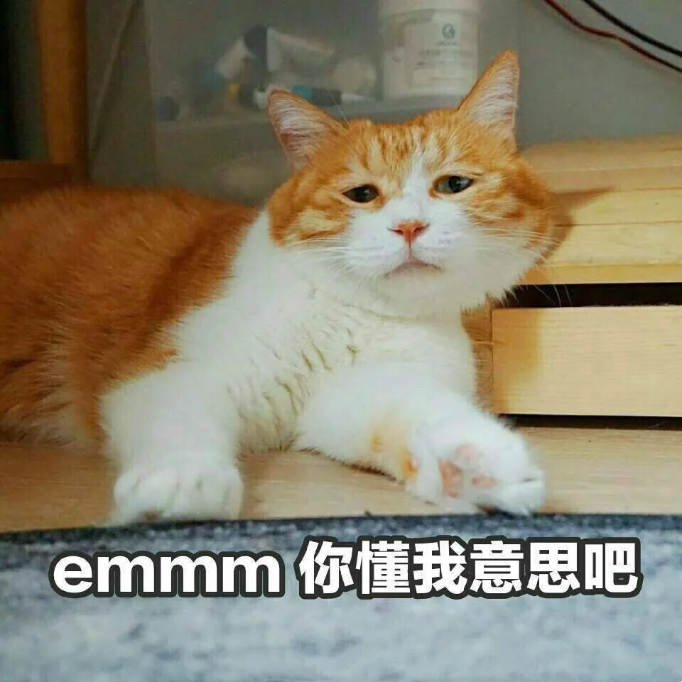 为什么中年男的头像都是风景照