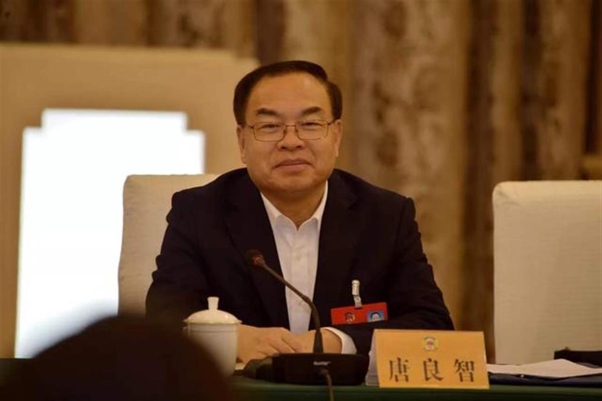 唐良智曾任重庆市市长,成都市委书记,武汉市市长.