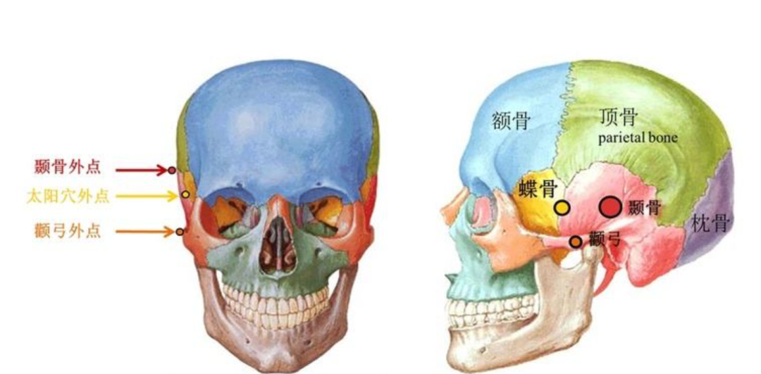 太阳穴这个位置,更"官方"的说法叫做>面部颞区>.1080_531