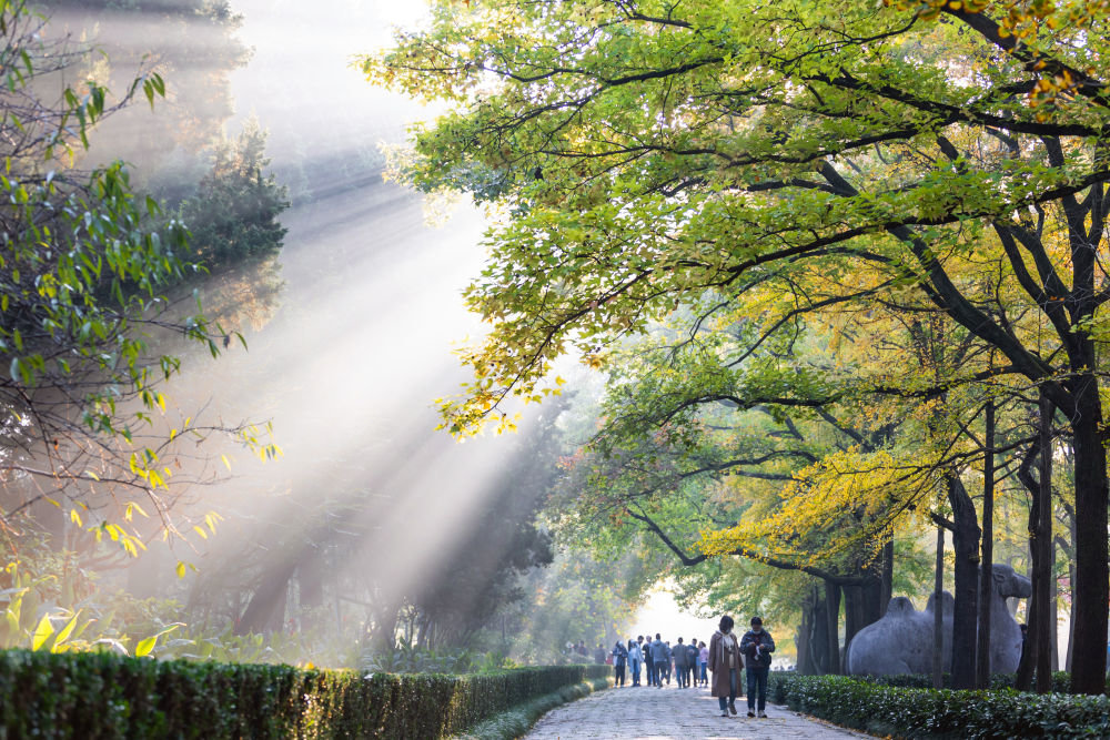 10月22日，游人在江苏省南京明孝陵景区赏叶游玩。新华社发（张梦 摄）