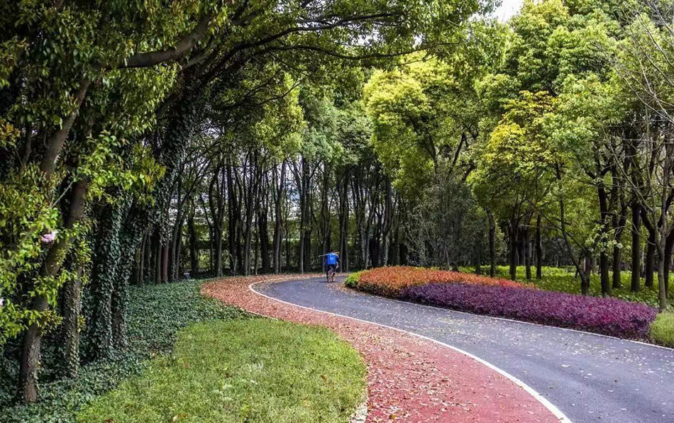 上海浦西外环绿道已基本建成浦东今年计划建成183公里