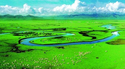 甘肃省甘南藏族自治州玛曲县阿万仓湿地公园，水草丰美，景色如画。甘南州委宣传部供图