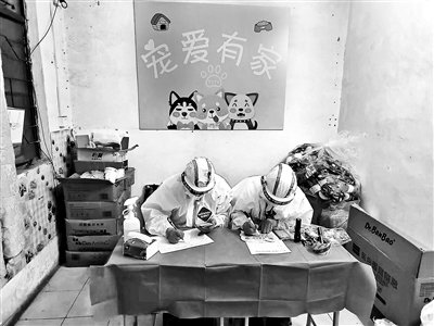 11月10日方舱投入使用前一天,工作人员在方舱内整理宠物信息