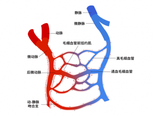 改善人体微循环o2ark高压氧舱抵御衰老病源