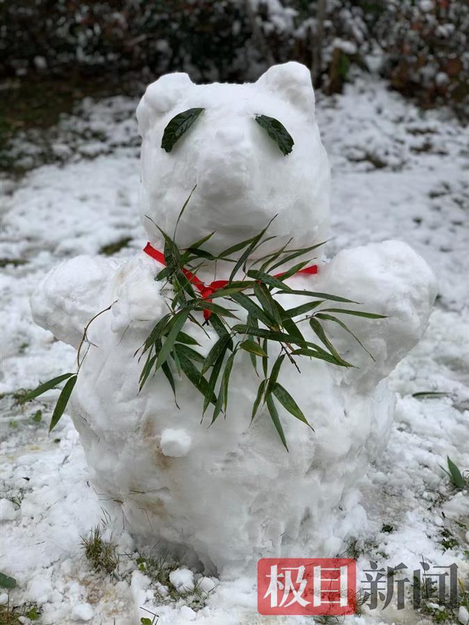 武汉朋友圈堆雪人大赛全面开启冰墩墩虎虎生威们都来了就差你的了