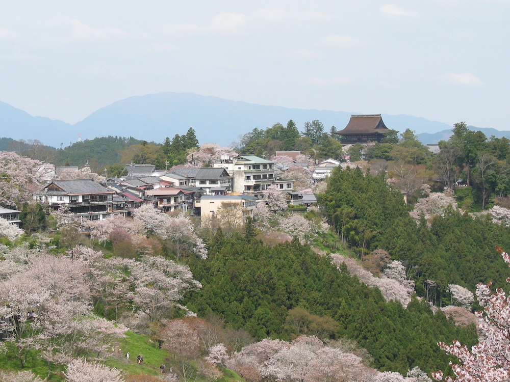 奈良吉野山樱花 维基百科 图