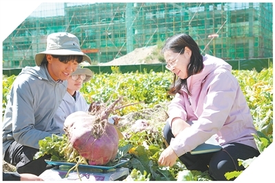 2024年，科技创新对西藏经济增长贡献率已提升至42% 雪域高原 创新热土（科技视点）