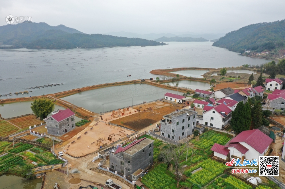 位于赣江河畔的万安县沙坪镇长桥村风景如画,近年来,沙坪镇在美丽