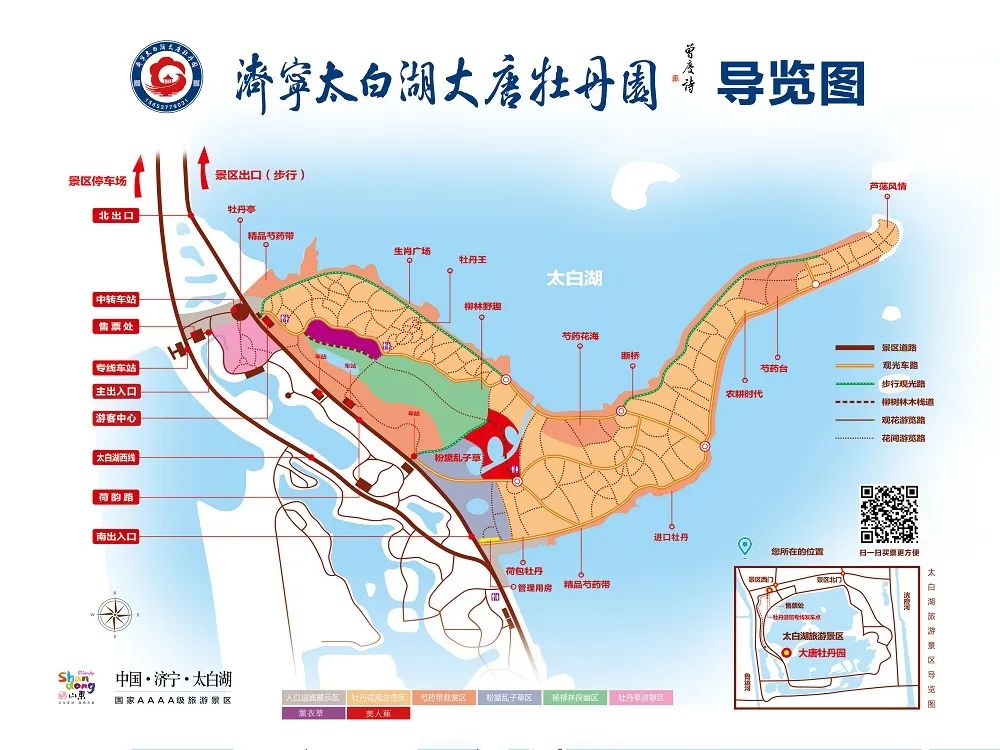 最美人间四月天济宁太白湖牡丹花会开始啦