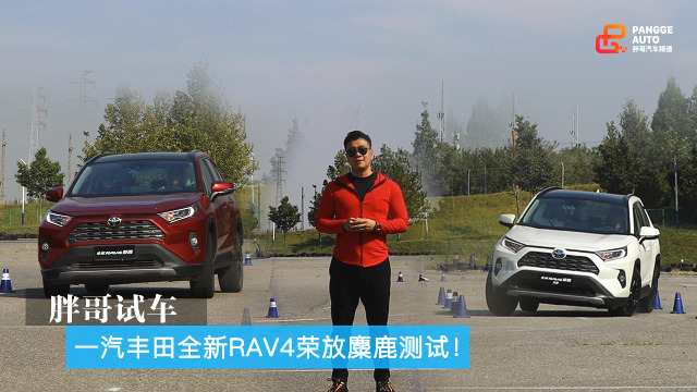 胖哥试车 一汽丰田全新RAV4荣放麋鹿测试！