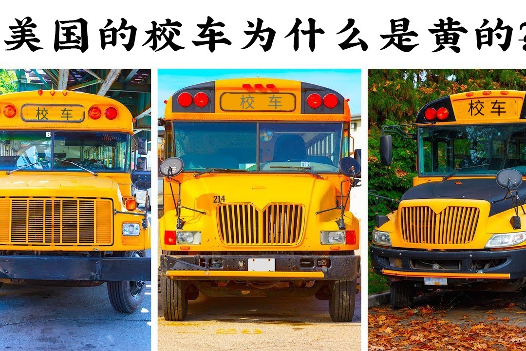 为什么外国的校车是黄的？