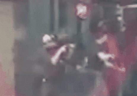 西安大爷街头溜乌龟 叹气:它把狗腿咬断了